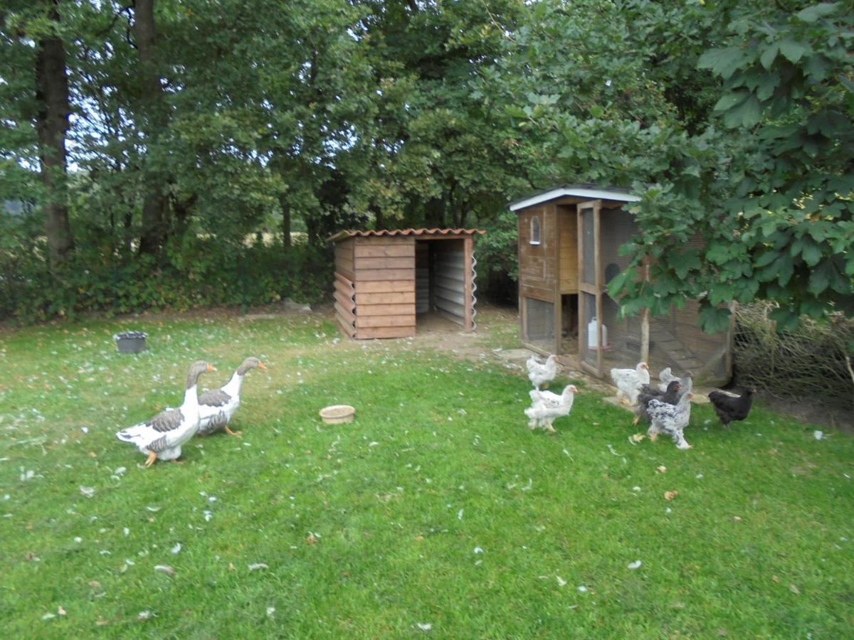 Ferienwohnung Kueper Getelo Exterior foto